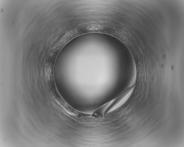 X0000054460227200508191710