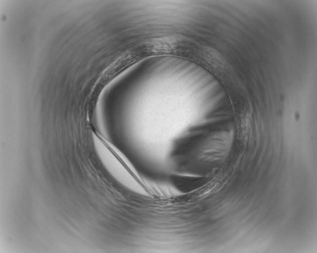 X0000054460228200508191710