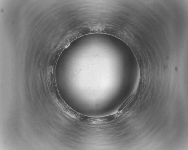 X0000054460229200508191710