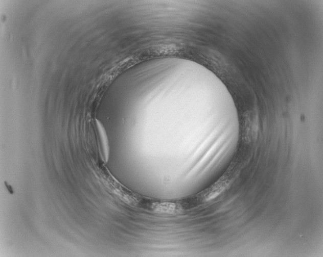 X0000054460230200508191710