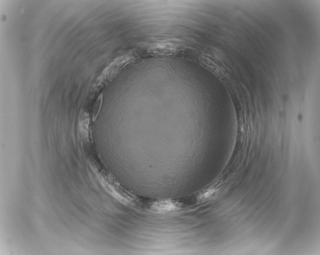X0000054460231200508191710