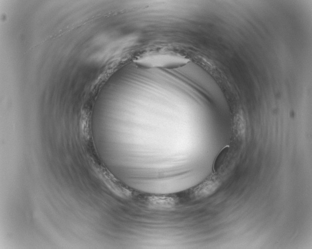 X0000054460234200508191710