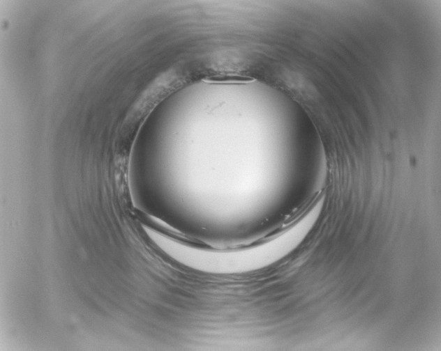 X0000054460237200508191710
