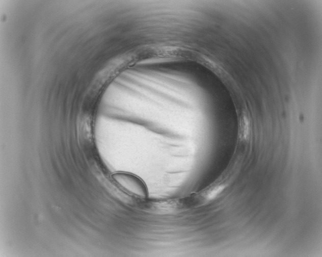 X0000054460238200508191710