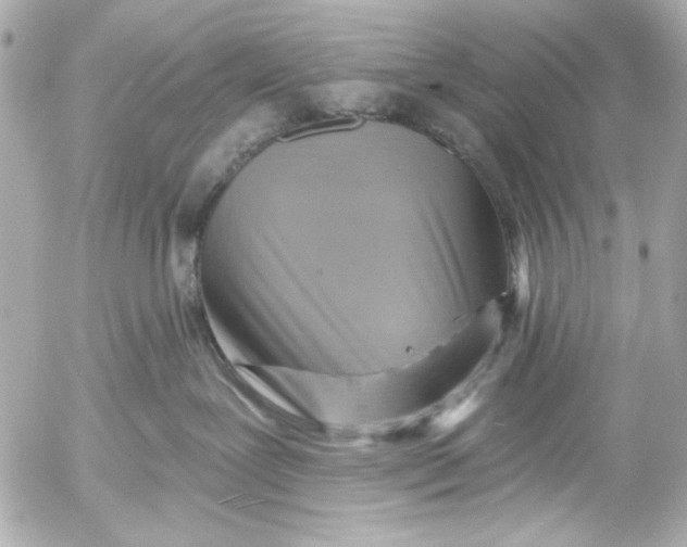 X0000054460239200508191710