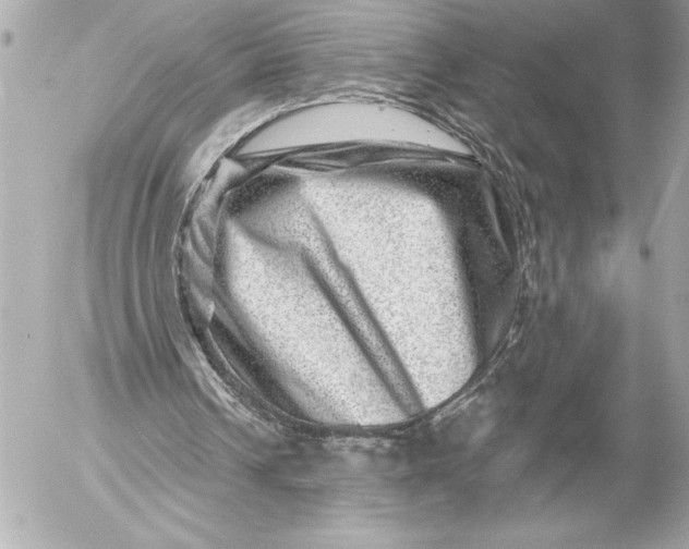 X0000054460242200508191709