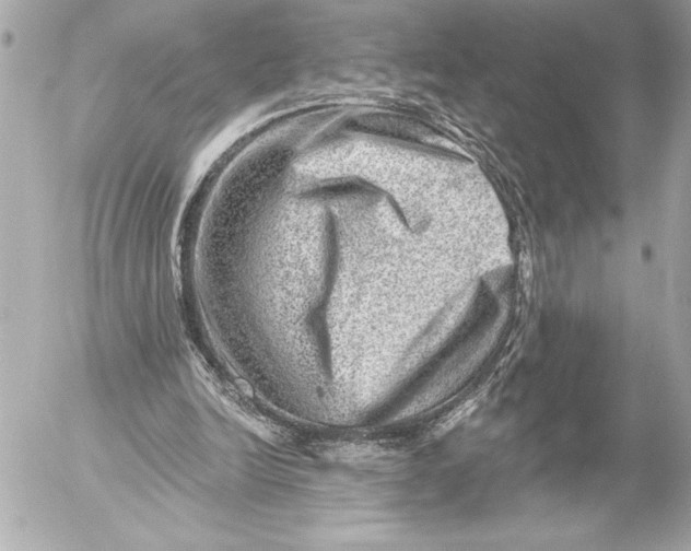X0000054460246200508191709