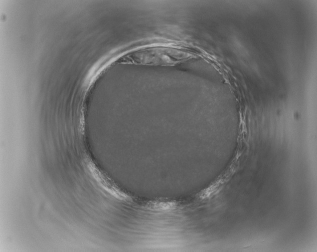 X0000054460247200508191709