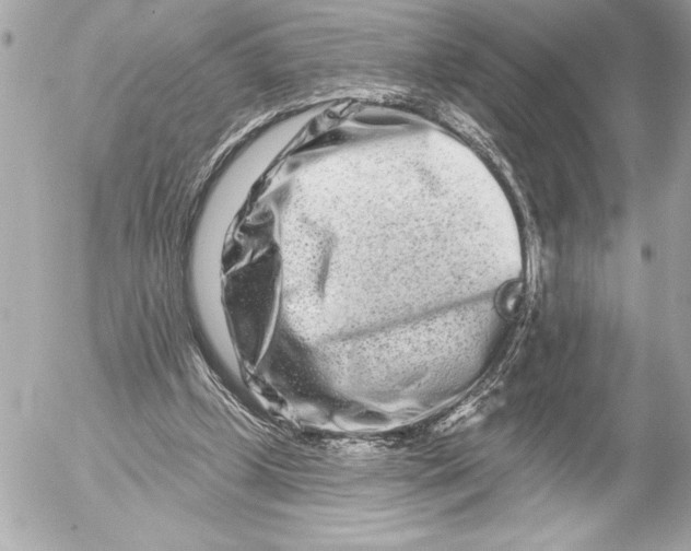 X0000054460249200508191709