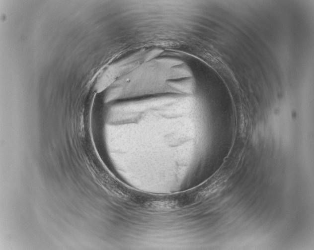 X0000054460251200508191709