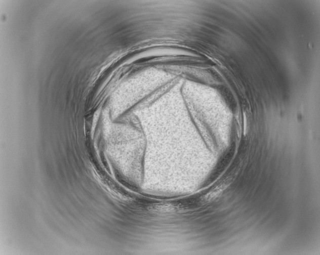 X0000054460253200508191710