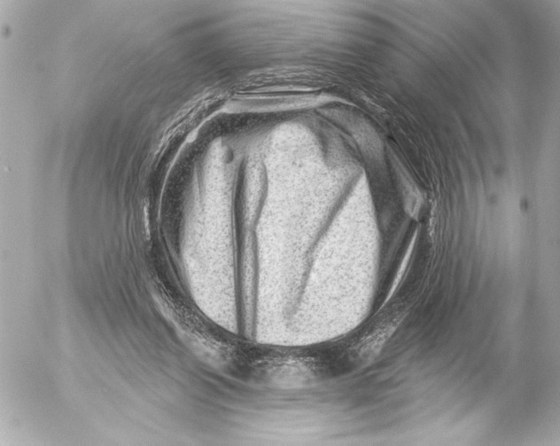 X0000054460254200508191710