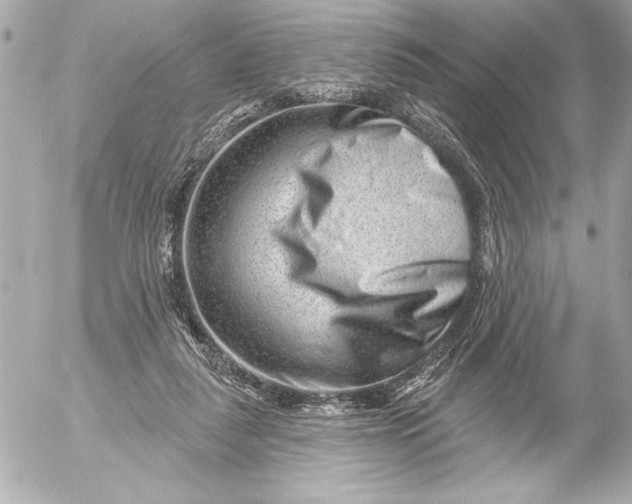 X0000054460259200508191710