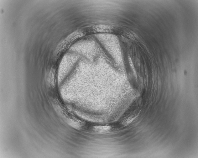 X0000054460266200508191710