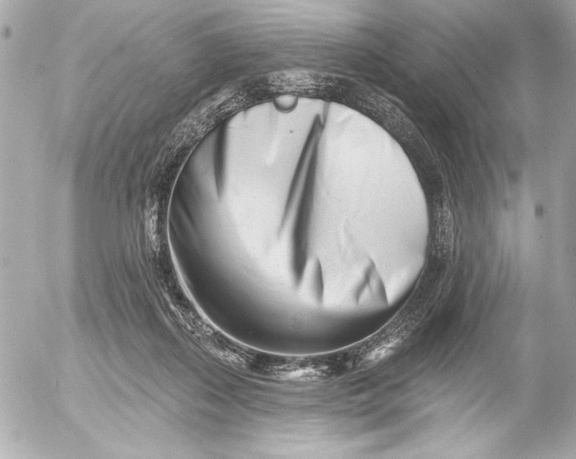 X0000054460267200508191710