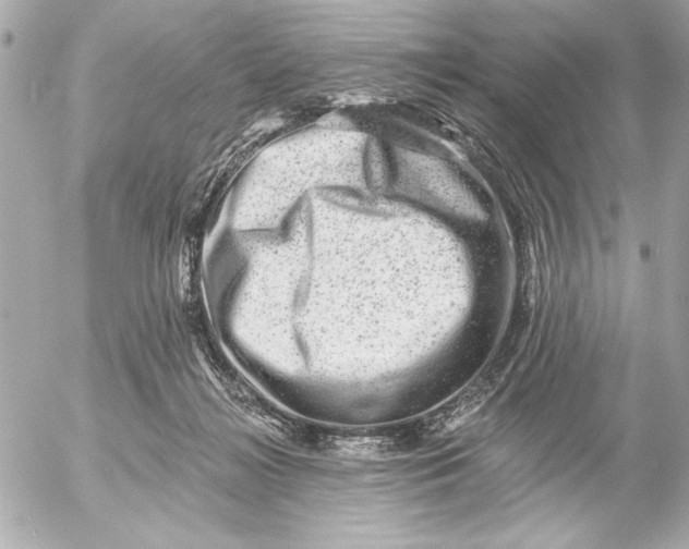 X0000054460268200508191710