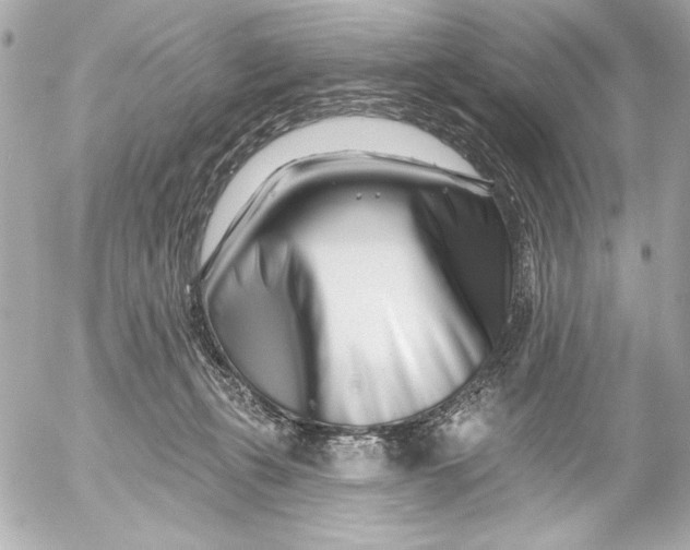 X0000054460271200508191710