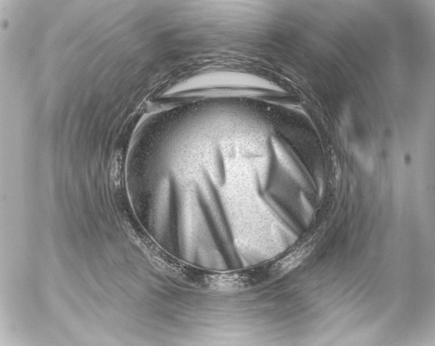 X0000054460273200508191710