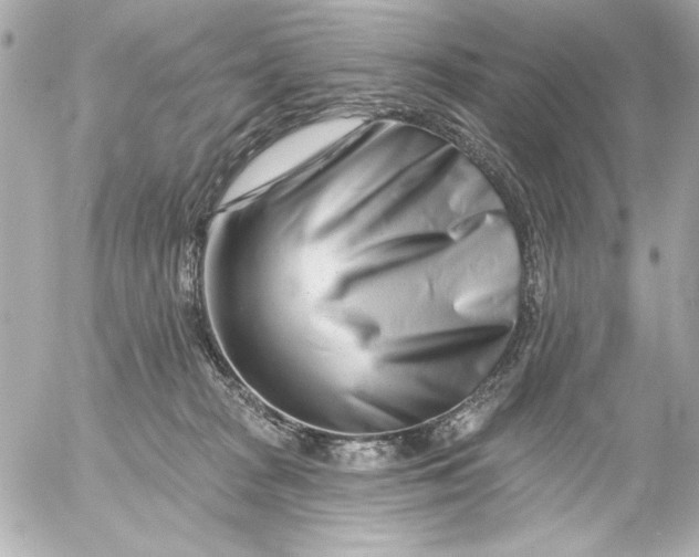 X0000054460277200508191710