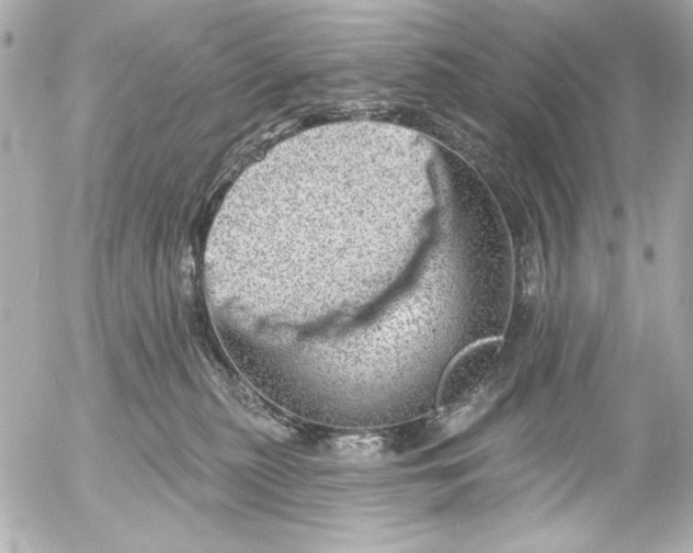 X0000054460279200508191710