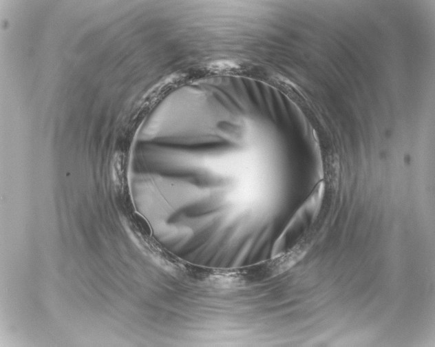 X0000054460280200508191710