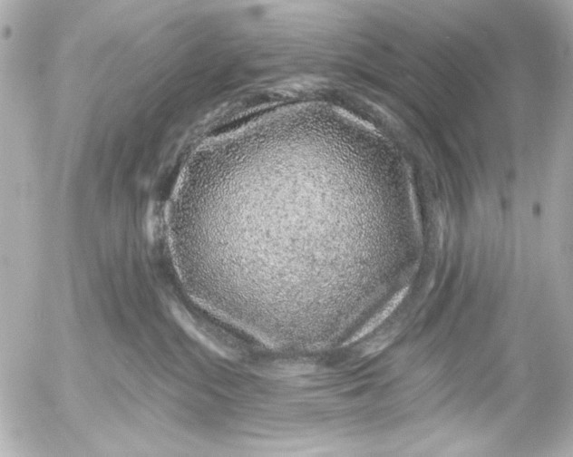 X0000054460284200508191710
