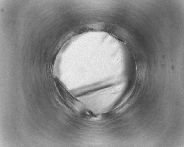 X0000054460285200508191710