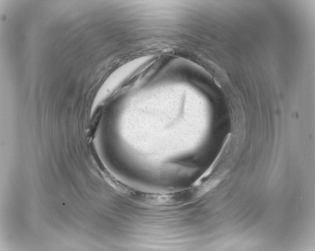 X0000054460288200508191710