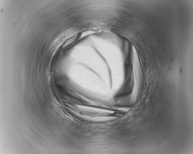 X0000054460290200508191709