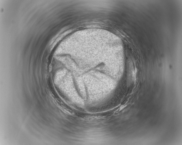 X0000054460291200508191709