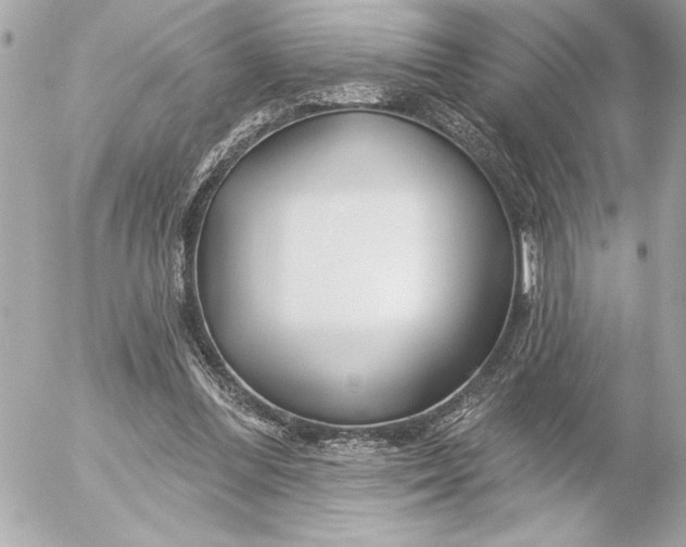 X0000054460300200508191709