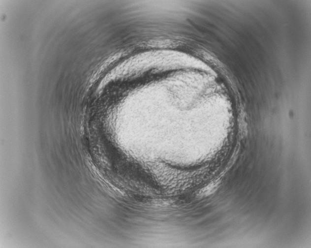 X0000054460305200508191709