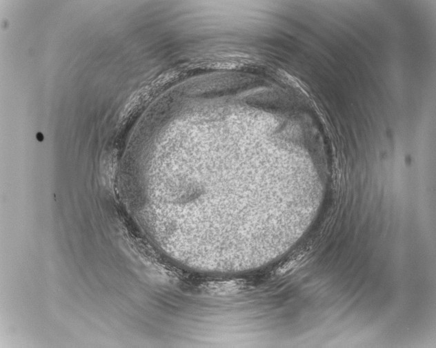 X0000054460307200508191709
