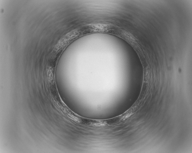 X0000054460318200508191709