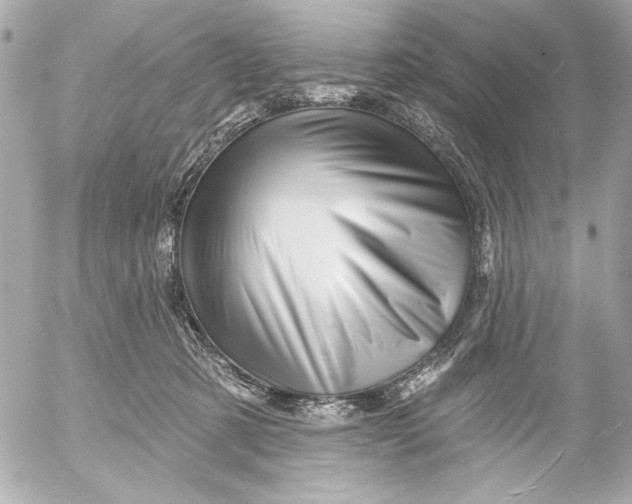 X0000054460321200508191709