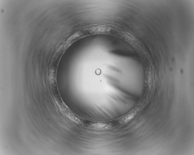 X0000054460326200508191709
