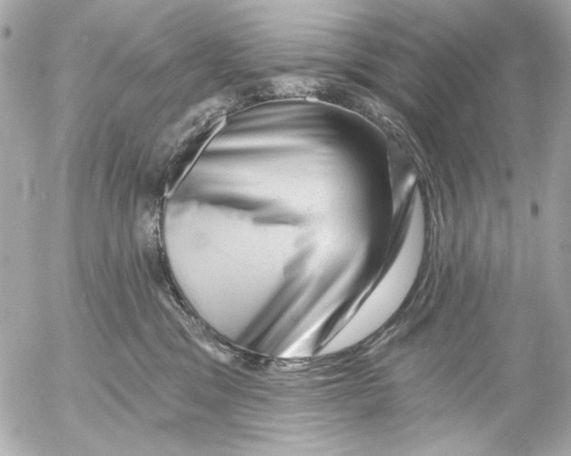 X0000054460329200508191709