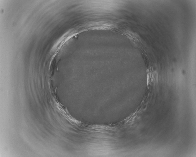 X0000054460339200508191708