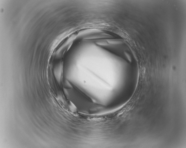 X0000054460340200508191708