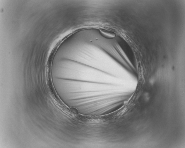 X0000054460342200508191708