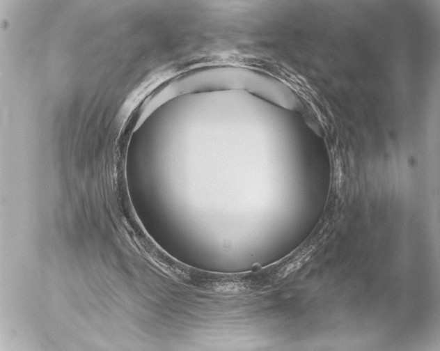 X0000054460344200508191708