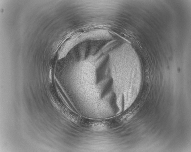 X0000054460358200508191708
