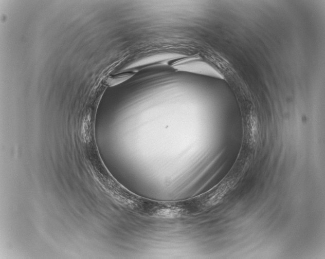 X0000054460364200508191708