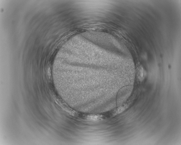 X0000054460375200508191708