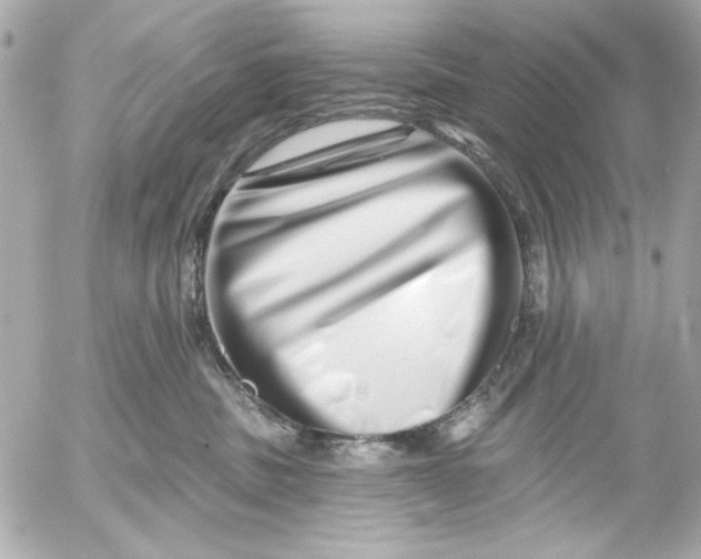 X0000054460379200508191708