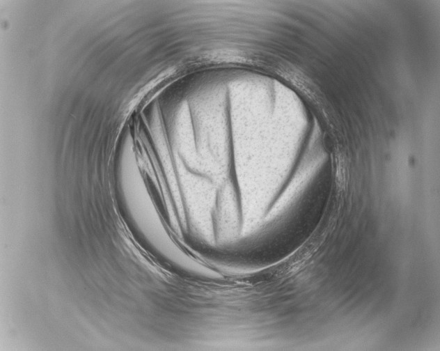 X0000054460390200508191708