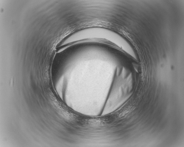 X0000054460394200508191708