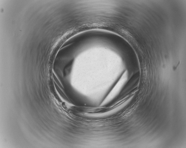 X0000054460395200508191708