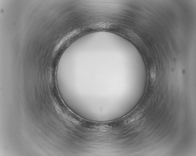 X0000054460396200508191708