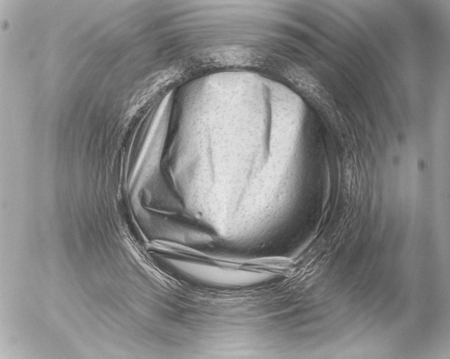 X0000054460398200508191708
